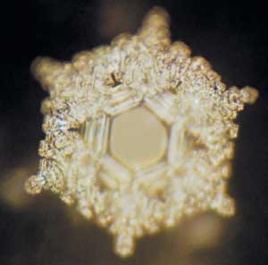 Water Crystals