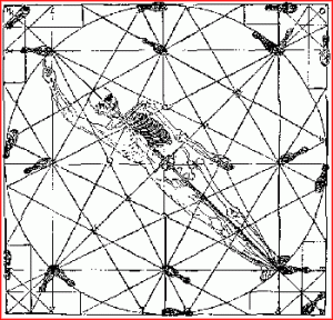 Zorro's Circle