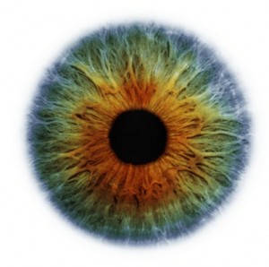 Eye