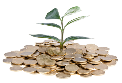 financial Planner