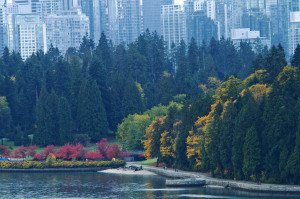 Stanley Park