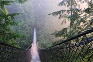 capilano suspension bridge