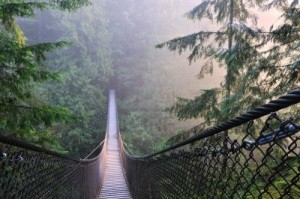 capilano suspension bridge